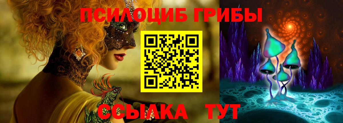 Пенза  Псилоцибиновые грибы Psilocybine cubensis  Вход с VPN 